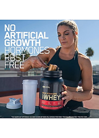 Gold Standard 100% Whey On 2lbs (908g) Chính Hãng Optimum Nutrition