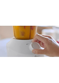 Máy Xay Sinh Tố Philips HR2041/30 (450W) - Hàng Chính Hãng