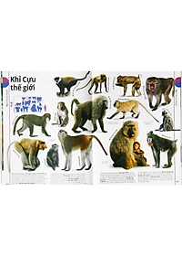 Sách Động Vật - Bách Khoa Thư Hình Ảnh Về Các Loài Vật Trên Trái Đất
