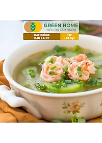 Hạt Giống Bầu Lai Greenhome, Gói 1gr~10 hạt, Dễ Trồng Quanh Năm, Nảy Mầm Cao, Thu Hoạch Nhanh, Năng Suất Cao T09