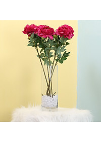 product-img-18