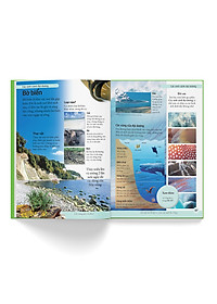 Sách Bách Khoa Cho Trẻ Em – Bách Khoa Tự Nhiên