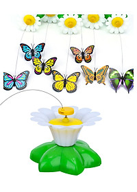 product-img-1