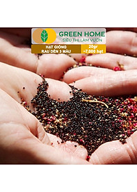 Hạt Giống Rau Dền 3 Màu Greenhome, Gói 20g~7000 hạt, Dễ Trồng Quanh Năm, Nảy Mầm Cao, Thu Hoạch Nhanh, Năng Suất Cao R15