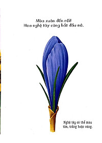Sách Những Khám Phá Đầu Tiên Của Tớ: Hoa