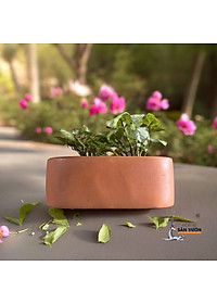 product-img-8