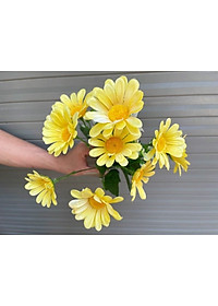 product-img-10