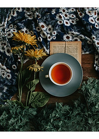 Trà Đậu Đỏ [15 Gói/Hộp] - Thương hiệu Hùng Phát: Thành Phần Tự Nhiên - Không Hương Liệu - Không Phẩm Màu - Không Chất Bảo Quản - Thương hiệu 13 năm liên tục đạt danh hiệu Hàng Việt Nam Chất Lượng Cao