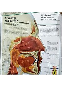 product-img-4