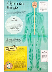 Sách Khoa Học Khắp Quanh Ta - Siêu Giác Quan