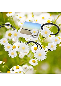 Combo 5 Dây Chun Cặp Tóc Hoa Cúc Nhiều Mẫu