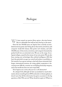 Nexus - A Brief History Of Information Networks From The Stone Age To AI