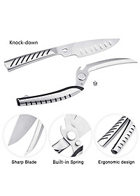 Kéo Cắt Gà Đa Năng Kamikoto Monster Scissors Nhật Bản