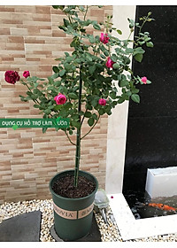 product-img-8