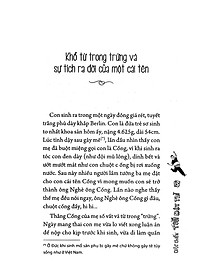 product-img-11