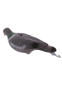 product-img-10