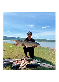 Mồi câu cá Lk Hòa | Thính Lk Câu cá chép trắm trôi siêu nhạy