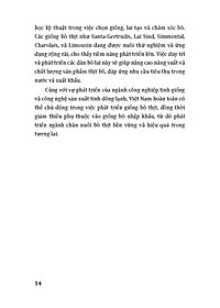 product-img-12