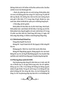 product-img-11