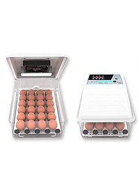 product-img-0