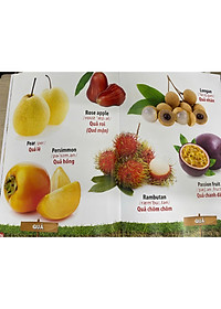 product-img-5