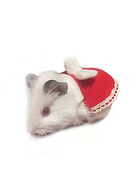 product-img-4
