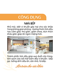 Xịt nhà bếp tinh dầu 24CARE 50ml/100ml/250ml - Xịt lau chùi bếp, bề mặt bị dính bẩn, diệt bề mặt dính vi khuẩn, không khí chứa vi khuẩn.