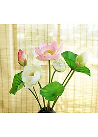 product-img-7