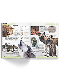 Sách Bách Khoa Cho Trẻ Em - Bách Khoa Động Vật (Tái Bản)