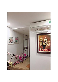 product-img-8