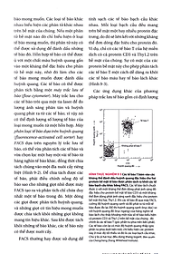 product-img-11