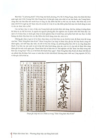 product-img-13