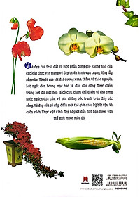 Sách Thực Vật Xinh Đẹp