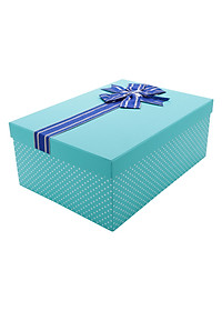 Hộp Quà Chữ Nhật C233 - 35 x 25 x 15 cm - Giao màu ngẫu nhiên