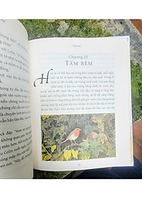 product-img-6