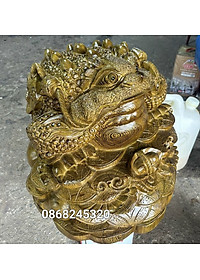 product-img-0