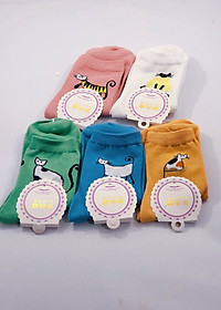 product-img-1
