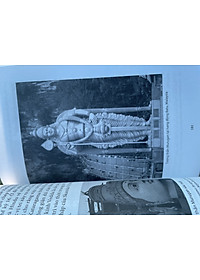 product-img-19