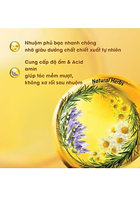 Đồng Ánh Vàng - Combo 2 Kem Nhuộm Tóc Màu Thời Trang Lavox Youth&Color L13 Đồng Ánh Vàng + L24 Nâng Tông Màu (Sử Dụng Màu L24 Để Nâng Tông Màu Tóc Trước Khi Nhuộm Màu L13 Đồng Ánh Vàng)