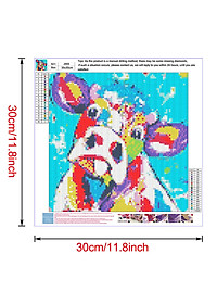 product-img-7