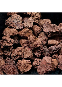 1Kg Vật liệu lọc hồ cá: bông 8D, men vi sinh hồ cá PSB 100ML cao cấp