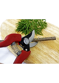 Kéo cắt cành cao cấp Nhật Bản Chikamasa PS-20R chiều dài lưỡi 50mm - lưỡi thép carbon chất lượng cao siêu bén - Cắt ngọt, không bám dính, liền sẹo nhanh