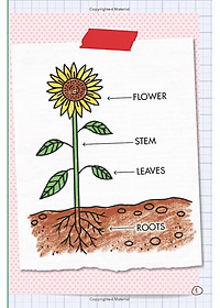 product-img-1