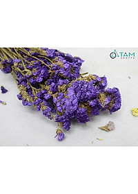 product-img-8