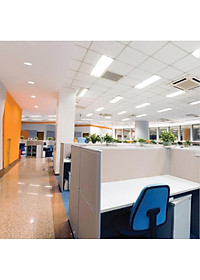 Ổ cắm đa năng 3m Rạng Đông Model: OC02 4C/5M/10A