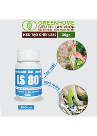 Keo Tạo Chồi LS80, Greenhome, Hũ 30gr, Tạo Mầm Tại Vị Trí Bất Kỳ, Có Chọn Lọc, Không Suy Cây, Đen Chồi
