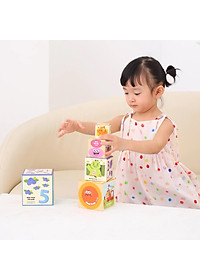 product-img-6