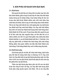 product-img-10