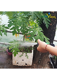 Vòi Phun Nước Tăng Áp 7 Chế Độ Tưới Cây, Rửa Xe Tiện Lợi Đa Năng- Chính Hãng 