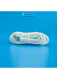 Cáp sạc siêu nhanh PD 100W iCybernet IC-1004 C to C chiều dài 1,2m - Hàng chính hãng